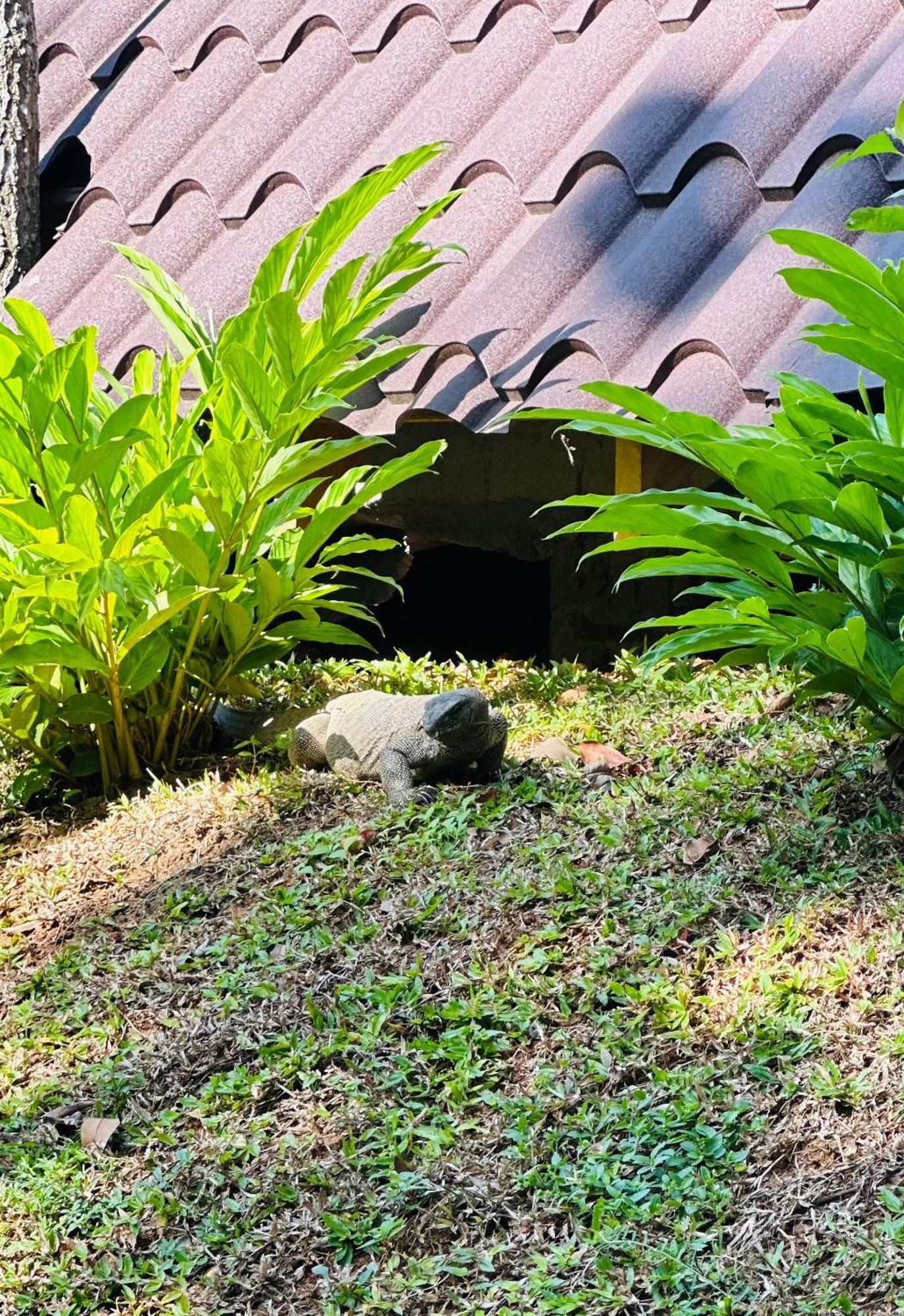 The Triangle Tangalle Exterior foto